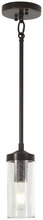 Minka-Lavery 4650-579 - ELYTON - 1 LIGHT MINI PENDANT