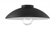 Minka-Lavery 7984-14-66 - RLM - METAL SHADE + GLASS SHADE